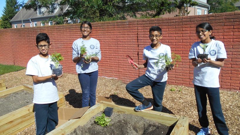 4 teenagers holding plants